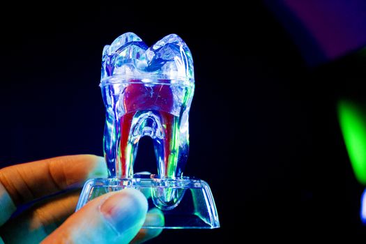 False transparent plastic tooth with inner red nerve