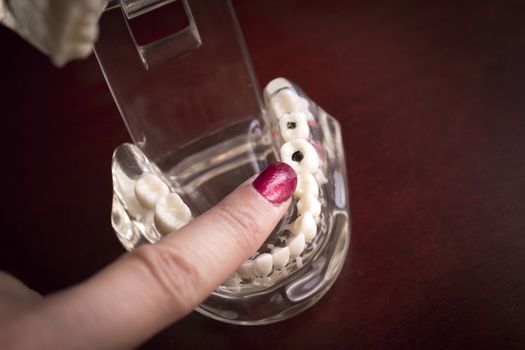 Denture pointed by fingers of woman