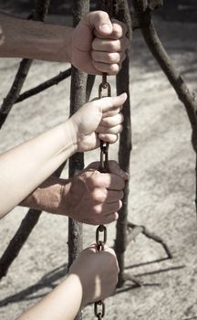 Hands pulling in opposite directions of a tree branch