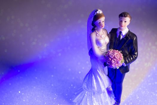 Newlyweds embraced bride and groom