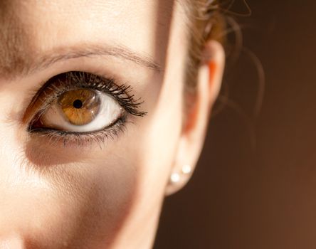 Look of sensual woman with eye makeup