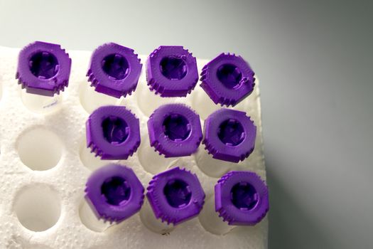 Vials for veterinary use to cure different diseases. No people