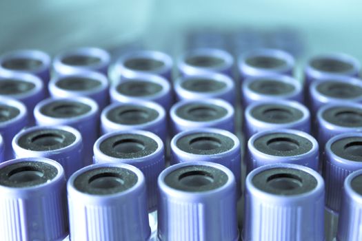 Vials for veterinary use to cure different diseases. No people