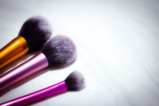 Set of brushes in different sizes for makeup. No people. Copy space