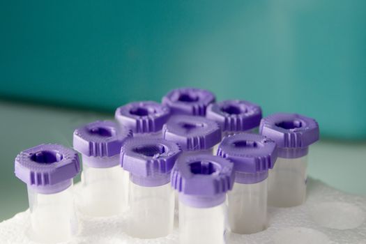 Vials for veterinary use to cure different diseases. No people