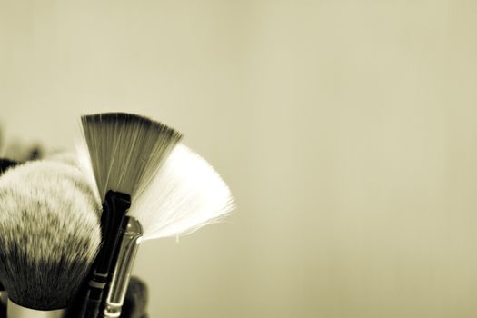 Set of brushes in different sizes for makeup. No people. Copy space