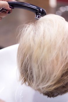 Hairdresser washing the head of a client. Hair not yet wet