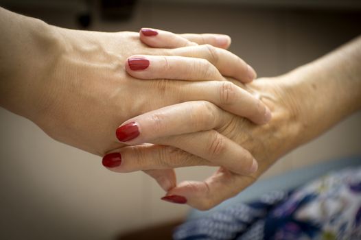 Hands of old woman and elderly caregiver