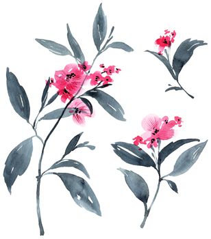 Watercolor and ink illustration of blossom tree with pink flowers and leaves. Oriental traditional painting in style sumi-e, u-sin and gohua.