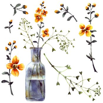 Watercolor illustration of glass vase and meadow flowers and plants. Decoratve painting and drawing.