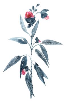Watercolor and ink illustration of blossom meadow plant with flowers and leaves. Oriental traditional painting in style sumi-e, u-sin and gohua.