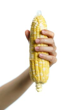 Ripe corn in condom with hand on white background. isolated