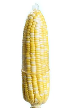 Ripe sweet corn in condom on white background. isolated