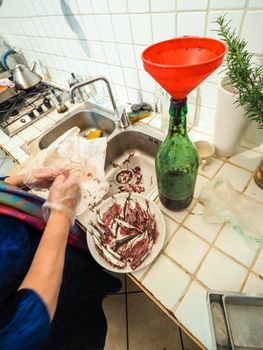 hands of senior housewive pensionate woman wearing transparent gloves cleaning anchovies fish from head and guts