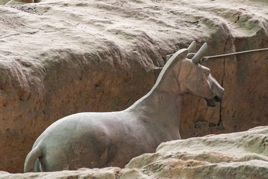 Xian, China - May 1, 2010: Terracotta Army museum and hall.  Gray-beige ancient horse sculpture at excavation.