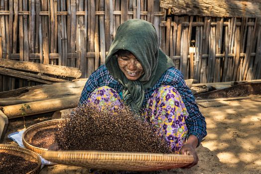 BAGAN, MYANMAR - JANUARY 24, 2016 : Burmese farmer woman threshes corn to remove chaff