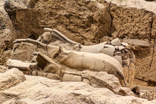 Xian, China - May 1, 2010: Terracotta Army excavation hall. 2 broken in pieces beige horse body sculptures being excavated out of the brown dirt.