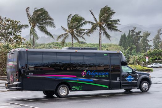 Oahu, Hawaii, USA. - January 09, 2020: closeup of short black sightseeing tour bus of Polynesian adventure and Gray Line company under foggy rainy sky with green foliage in back.