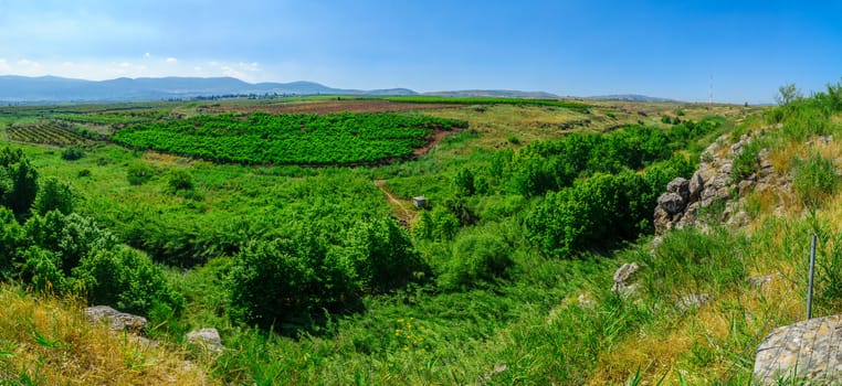 Panoramic landscape of the Snir Stream (Hasbani River) Nature Reserve, Northern Israel