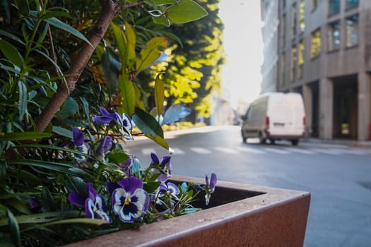 Cremona, Lombardy, Italy - April 30 th - May 1st 2020 - a deserted city  during coronavirus outbreak lockdown phase 2 and economic crisis