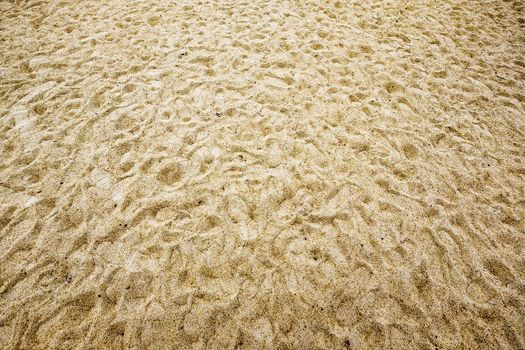 Sand background and textures