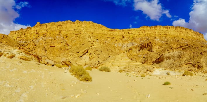 View of the cliffs of mount Ardon, part of Makhtesh (crater) Ramon, in the Negev Desert, Southern Israel
