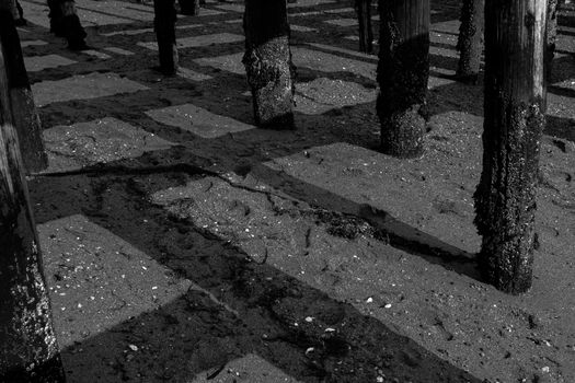 Abstract square patterns of shadows of wharf posts on sand below in black and white.