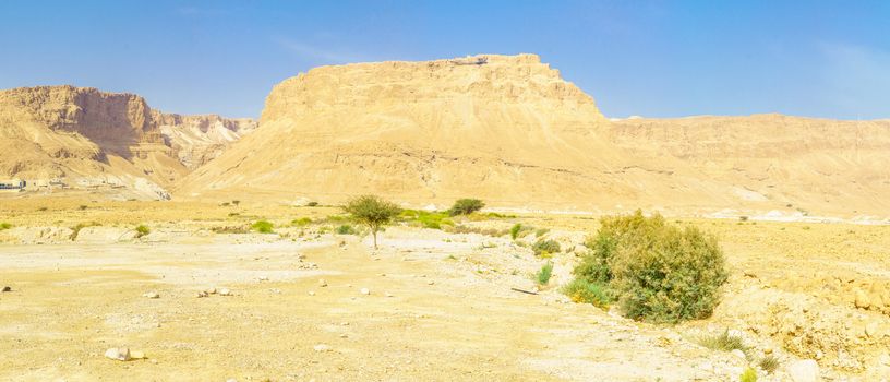 Panoramic view of the Masada fortress and the Judean Desert, near the Dead Sea, Southern Israel