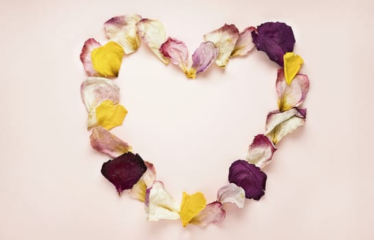 Beautiful heart shape with rose petals on colored background