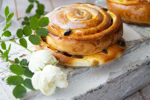 Raisin bun. Bun with raisins and vanilla cream close-up on white shabby background with vintage white rose