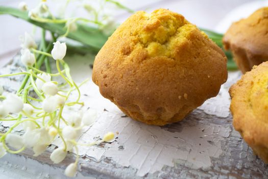 Cupcakes. Homemade baking. Muffins with raisins on shabby background, spring