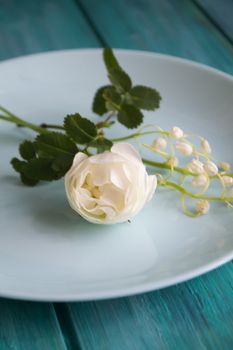 White tender flowers on blue plate and teal table