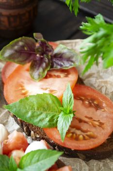 Traditional italian bruschetta appetizer or snack with tomato slace and basil, antipasto. Vertical image