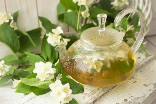 glass teapot with hot tea and jasmine flowers. branches of blooming jasmine on shabby background.