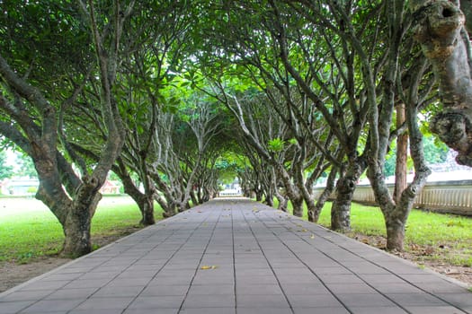 Leelawadee Tunnel , Nan National Museum
Mueang District, Nan Province thailand.