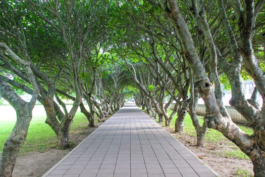 Leelawadee Tunnel , Nan National Museum
Mueang District, Nan Province thailand.