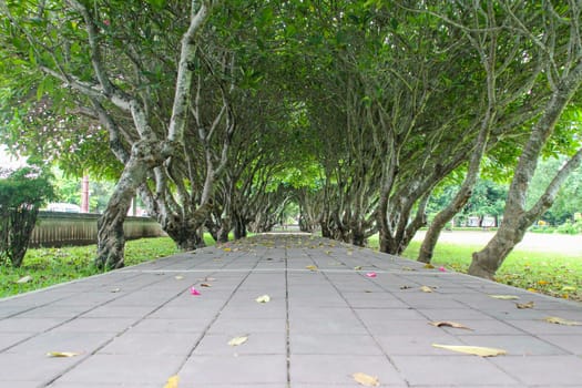 Leelawadee Tunnel , Nan National Museum
Mueang District, Nan Province thailand.