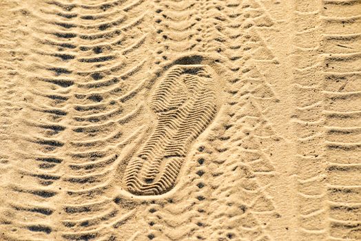 Car tracks, bike tracks and shoe prints in the sand illuminated by the low evening sun rays