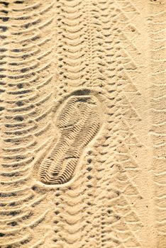 Car tracks, bike tracks and shoe prints in the sand illuminated by the low evening sun rays