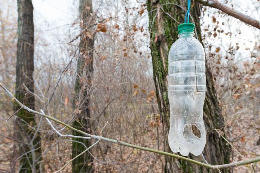 Plastic bottle, in the tree, used as feeder for birds in winter