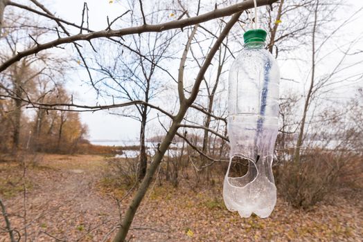 Plastic bottle, in the tree, used as feeder for birds in winter