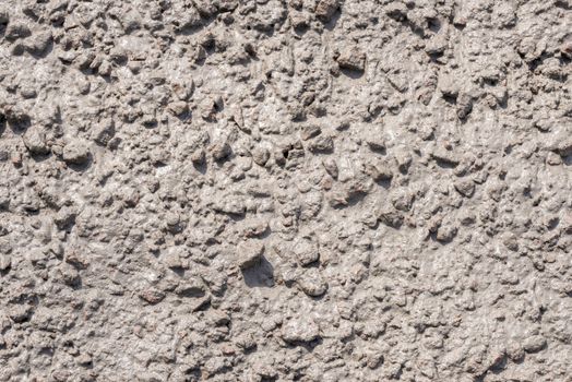 Detail of a fresh concrete surface under the sun