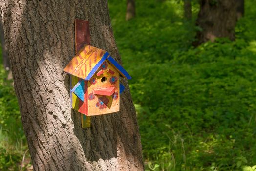 Handwork bird shelter made of chipboard and zinc in the woods during spring