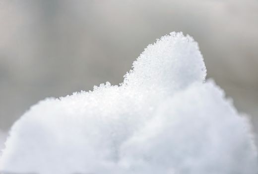 Macro detail of frozen snow on a branch during the cold winter