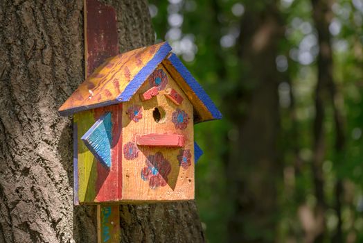 Handwork bird shelter made of chipboard and zinc in the woods during spring