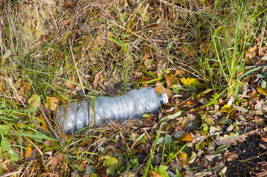 Plastic bottle left in Nature by disrespectful people. An example of pollution of the environment