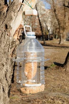 Big plastic bottle used as feeder for birds in winter