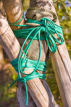 A stake with a green plastic string