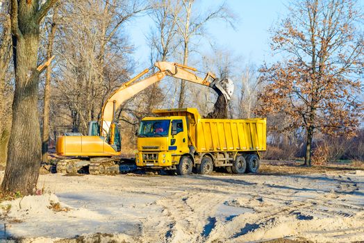 An orange excavator and a yellow truck working in the park under a cold morning sunlight in winter