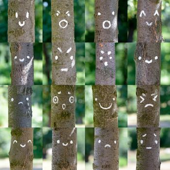 A collection of various smileys painted on tree trunks